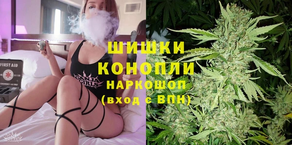 прущие грибы Арсеньев